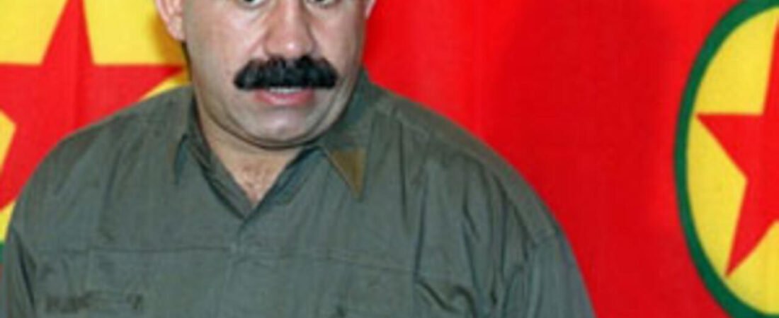 Tek Vücut, Çok Baş