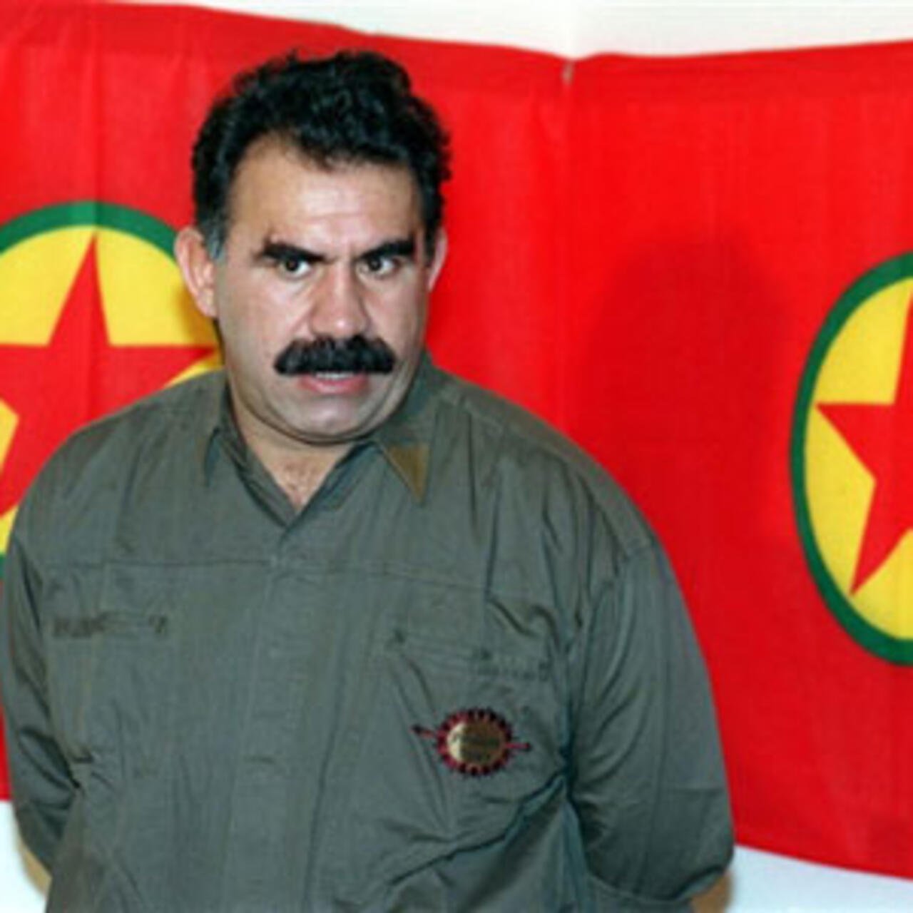 One Hydra, Many Heads